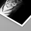 Poster - Poster ohne Rahmen - Weiß Tiger Schwarz und Weiß - Produktbild-Vorschau 2
