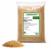 RSM-Rasensamen 2.3 mit Poa Supina 1kg für 40m², Produktbild-Vorschau 1