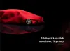 Ferrari kinderbeschermingsuitrusting set – 6-delig: Productafbeelding-voorbeeld 9