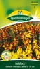 Goldlack, Einfache Mischung Produktbild-Vorschau 4