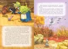 Baśnie - Hans Christian Andersen Kolor Br Greg Voir les images du produit 3