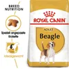 Royal Canin Beagle Adult - Hundefutter 12kg Produktbild-Vorschau 1