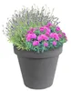 Pflanzkübel "Pisa" Steingrau Übertopf Blumen 39x35cm Produktbild-Vorschau 2
