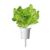 Click and Grow grüner salat, kapseln mit kernen und Produktbild-Vorschau 15