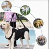 Harnais de soutien pour chiens, harnais de transport pour Voir les images du produit 7