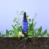 Melvita Eau Florale D'Hamamélis Bio, tónico facial, para Vista previa de la imagen del producto 4