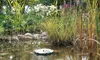 Pontec PondoStar Lily Island 150 l/h, Solarwasserspiel Produktbild-Vorschau 4