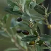 Emerald Künstlicher Mini Olivenbaum 65 cm Produktbild-Vorschau 3