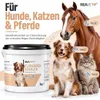 REAVET Flohsamenschalen für Pferd & Hund 1kg – Naturrein in Produktbild-Vorschau 3
