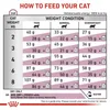 ROYAL CANIN Cat Early Renal VHN - sucha karma dla kotów - Podgląd zdjęcia produktu 3