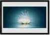 Bild 100x70 MDF-Rahmen Wandkunst Lotus-Blumen-Anlage Produktbild-Vorschau 1