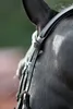 Covalliero Zaumzeug Cancun Pony Schwarz Produktbild-Vorschau 11