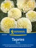Kiepenkerl Tagetessamen Arctic Tagetes erecta 40 Pflanzen Produktbild-Vorschau 3