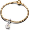 Pandora 762985C01 - Zwei Ton Schlüssel & Mond Charme Produktbild-Vorschau 5