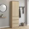 Armoire, armoire vestiaire, armoire polyvalente avec 3 Voir les images du produit 8
