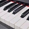 vidaXL Digitální piano s 88 klávesami a pedály Černá Náhled obrázku produktu 2