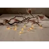 Star Trading 729-60, Leichte Dekorationskette, Beige, Produktbild-Vorschau 8