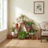 FATIVO Scaffale per fiori a 6 livelli: 71×25×58 cm Scaffale Anteprima dell’immagine prodotto 3