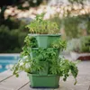 Gusta Garden PAUL POTATO selbstbewässernder Pflanzkübel 4 Produktbild-Vorschau 4