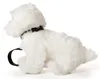 Uni-Toys - Malteser (met riem) - 26 cm (lengte) - Pluchen Productafbeelding-voorbeeld 1