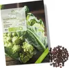 Blumenkohl Samen (Romanesco, 50 Korn) - Blumenkohl Saatgut Produktbild-Vorschau 1