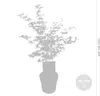 Bloomique - Acer Shirasawanum Moonrise - Japanischer Ahorn Produktbild-Vorschau 3