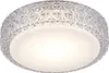 LED stropné svietidlo nástenné svietidlo PEGASUS Ø28cm Náhľad obrázku produktu 8