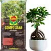 Bonsai Erde Ficus - 5l - Hochwertig - Nährstoffreich - Produktbild-Vorschau 8
