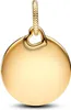 A close-up studio shot of a gold pendant. Anteprima dell’immagine prodotto