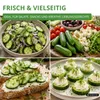 Mini Snackgurke Salamanda F1 Samen - Cucumis sativus - Produktbild-Vorschau 9