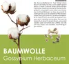 GROW2GO Baumwoll-Pflanzset ideal zur Baumwollhochzeit - Produktbild-Vorschau 3