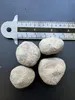 Marula (Sclerocarya birrea ssp. caffra) – 5 semen Náhled obrázku produktu 5