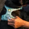 Ruffwear Front Range Geschirr River Rock Green S Produktbild-Vorschau 9