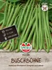 SPERLI Buschbohnensamen Mascotte Phaseolus vulgaris var. Produktbild-Vorschau 1