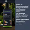 Dennerle Vital Elixir, 250 ml - Wasseraufbereiter mit Produktbild-Vorschau 4