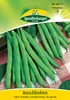 Buschbohne Saxa | Buschbohnensamen von Quedlinburger Produktbild-Vorschau 3