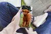 MuchoWow® Handyhülle Schutzhülle Hülle für iPhone 7 Produktbild-Vorschau 3