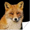 MuchoWow® Poster Fuchs - Rot - Schwarz 75x75 cm - Wand Produktbild-Vorschau 1