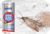 Lebensmittelmottenfalle - Geruchlos - 3 Monate Wirksam - Produktbild-Vorschau 4