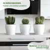 Übertopf Magnolia 36 silbergrau Produktbild-Vorschau 4