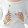 Dr. Botanicals Bambus Zahnbürste: Grün + Rosa + LilaDiese Produktbild-Vorschau 2