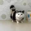 Flauschige Plüschkatze, niedliches Stofftier, Produktbild-Vorschau 2