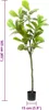 vidaXL Umelý strom Ficus 48 listov 165 cm zelený Náhľad obrázku produktu 4