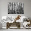 Bild auf Leinwand - Leinwandbild - Einteilig - Birken Wald Produktbild-Vorschau 6