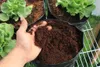 Włókno kokosowe Coco Peat 0-10mm 5l - Biovita Podgląd zdjęcia produktu 13