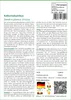 SAFLAX - Kalkuttabambus - Dendrocalamus strictus - 50 Samen Produktbild-Vorschau 3