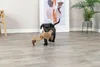 TRIXIE Geier Gustav Hundespielzeug - diverse - 28 cm Produktbild-Vorschau 3