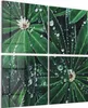 DEQORI Glasbild Echtglas 4x50x50 cm Produktbild-Vorschau 1