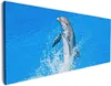 Wallario Premium Leinwandbild Fröhlicher Delfin im blauen Produktbild-Vorschau 1