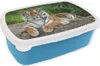 KitchenYeah® Lunchbox Box na svačinu 17x11 cm Tygr - Náhled obrázku produktu 1